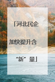 河北民企加快提升含“新”量